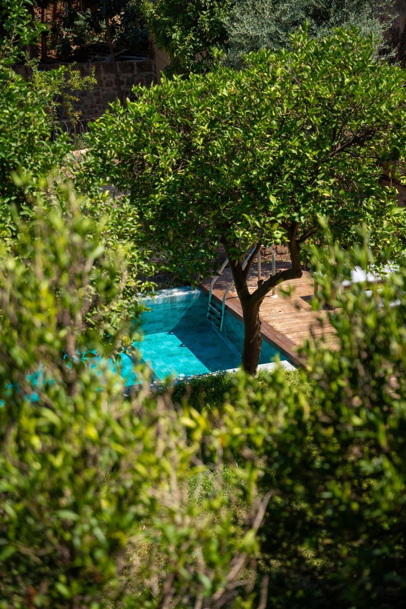 House 5 Hotel Antalya Dış mekan fotoğraf